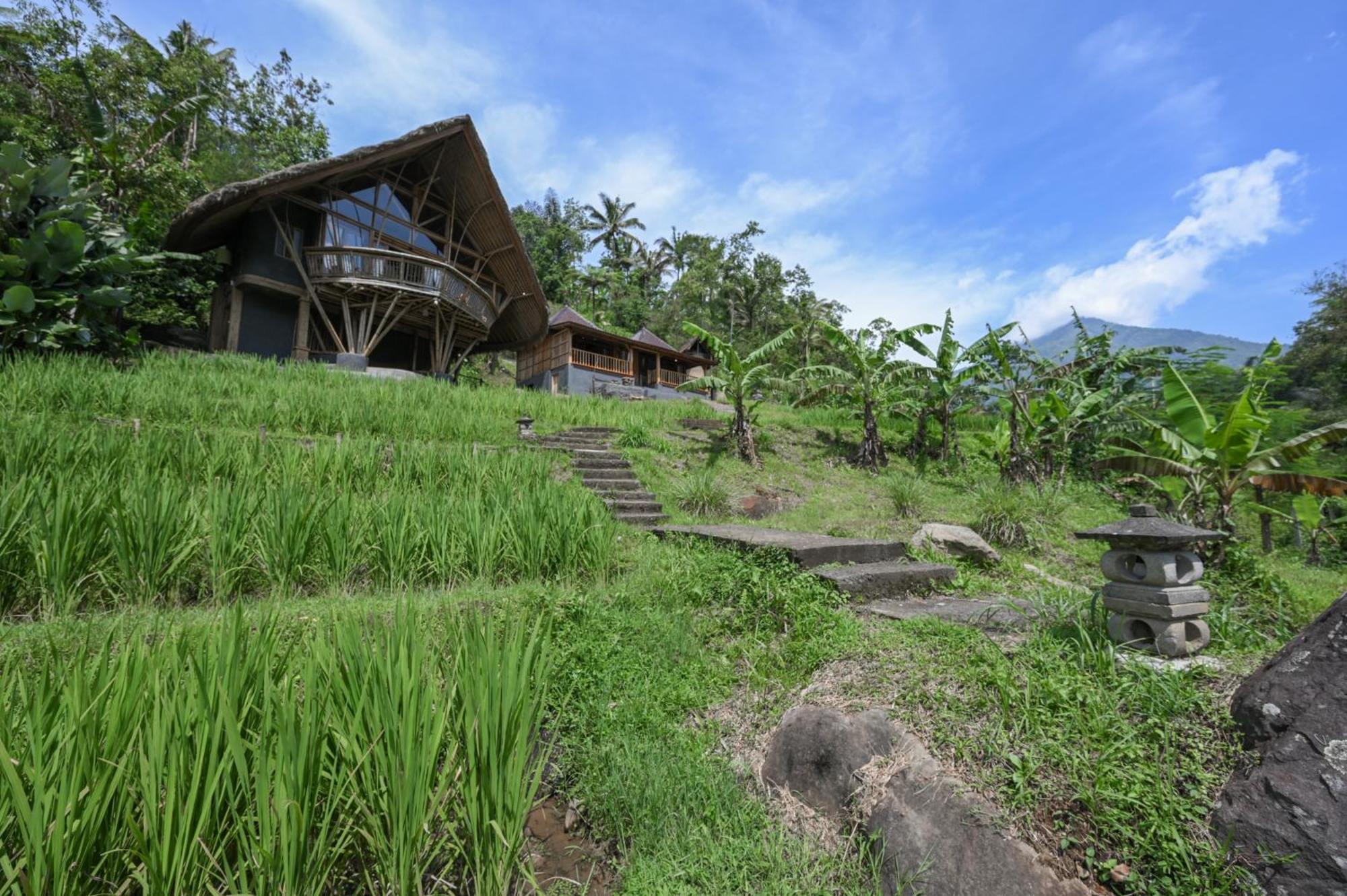 Keuma Villa & Resto Jatiluwih By The Lavana Zewnętrze zdjęcie