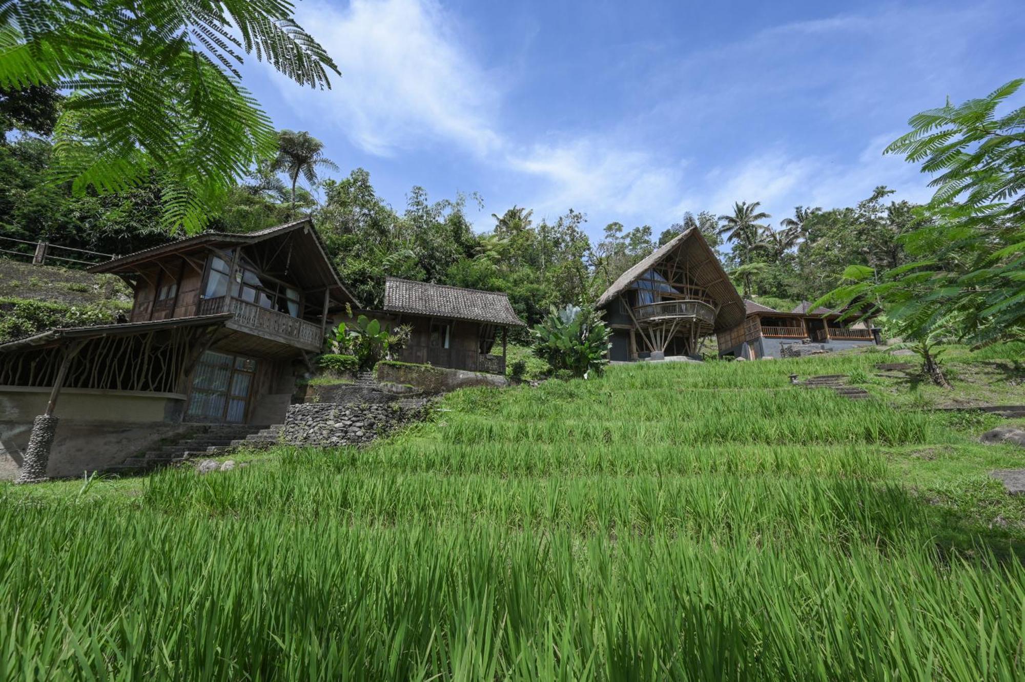 Keuma Villa & Resto Jatiluwih By The Lavana Zewnętrze zdjęcie