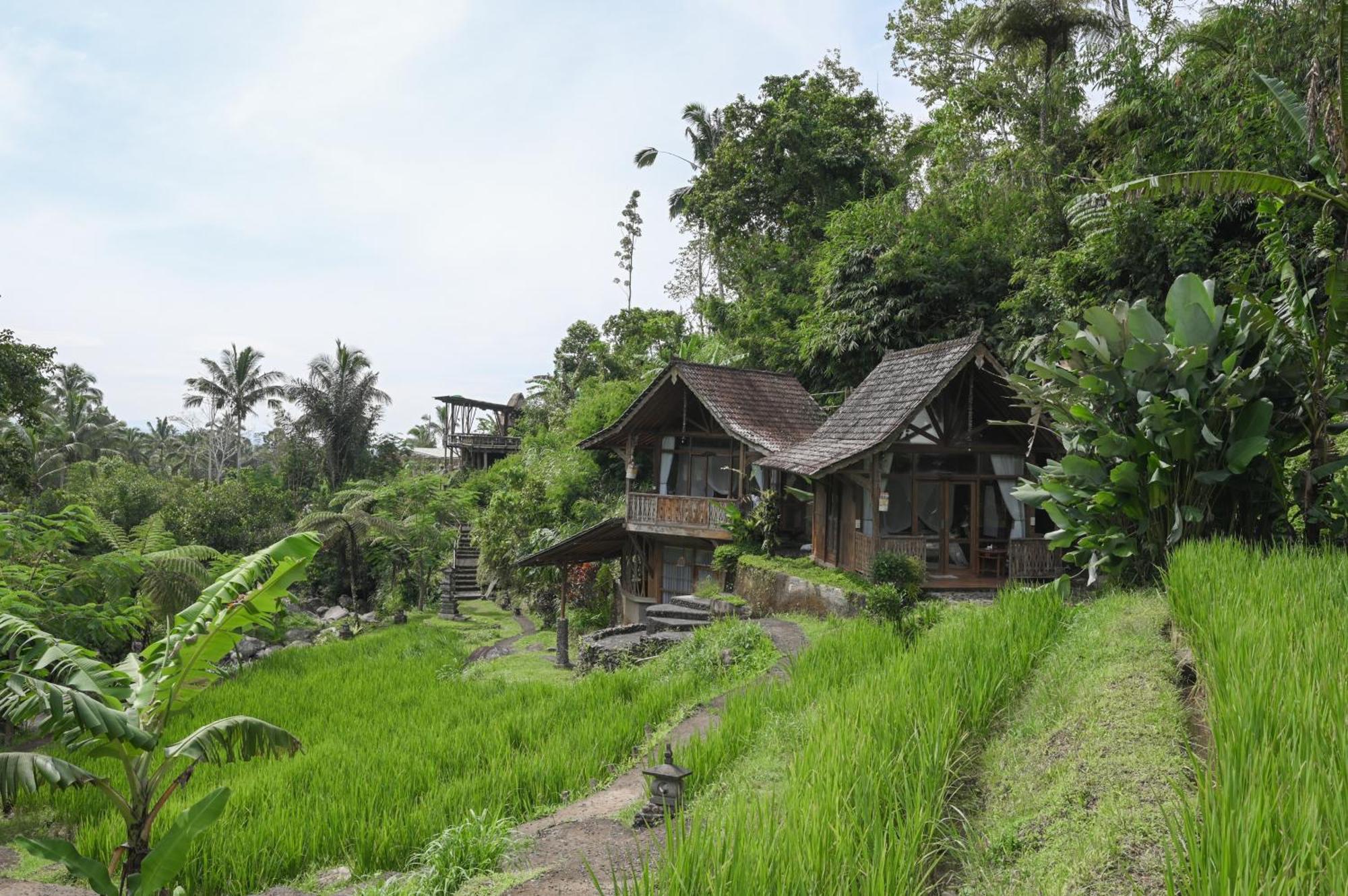 Keuma Villa & Resto Jatiluwih By The Lavana Zewnętrze zdjęcie